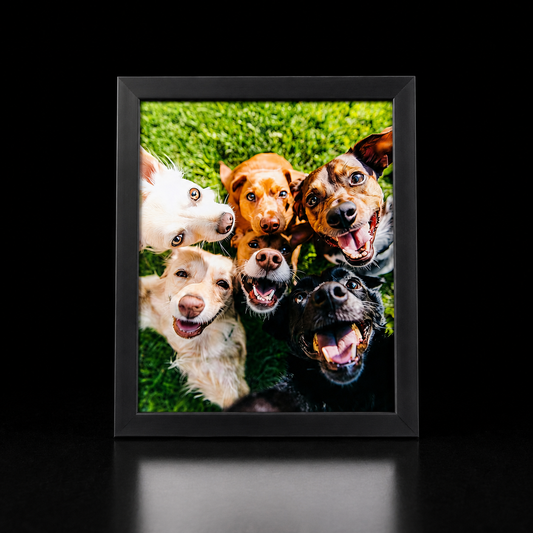 Custom Aluminium Poster